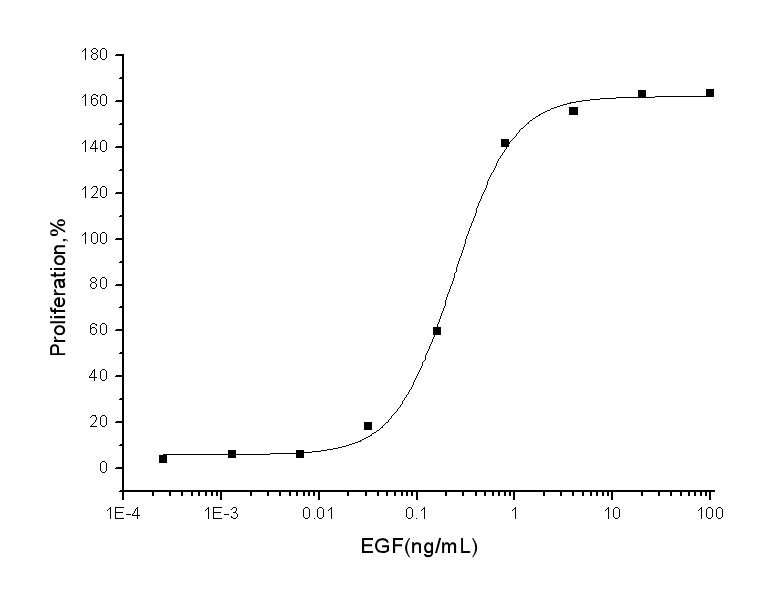 Human EGF / Epidermal Growth Factor Protein