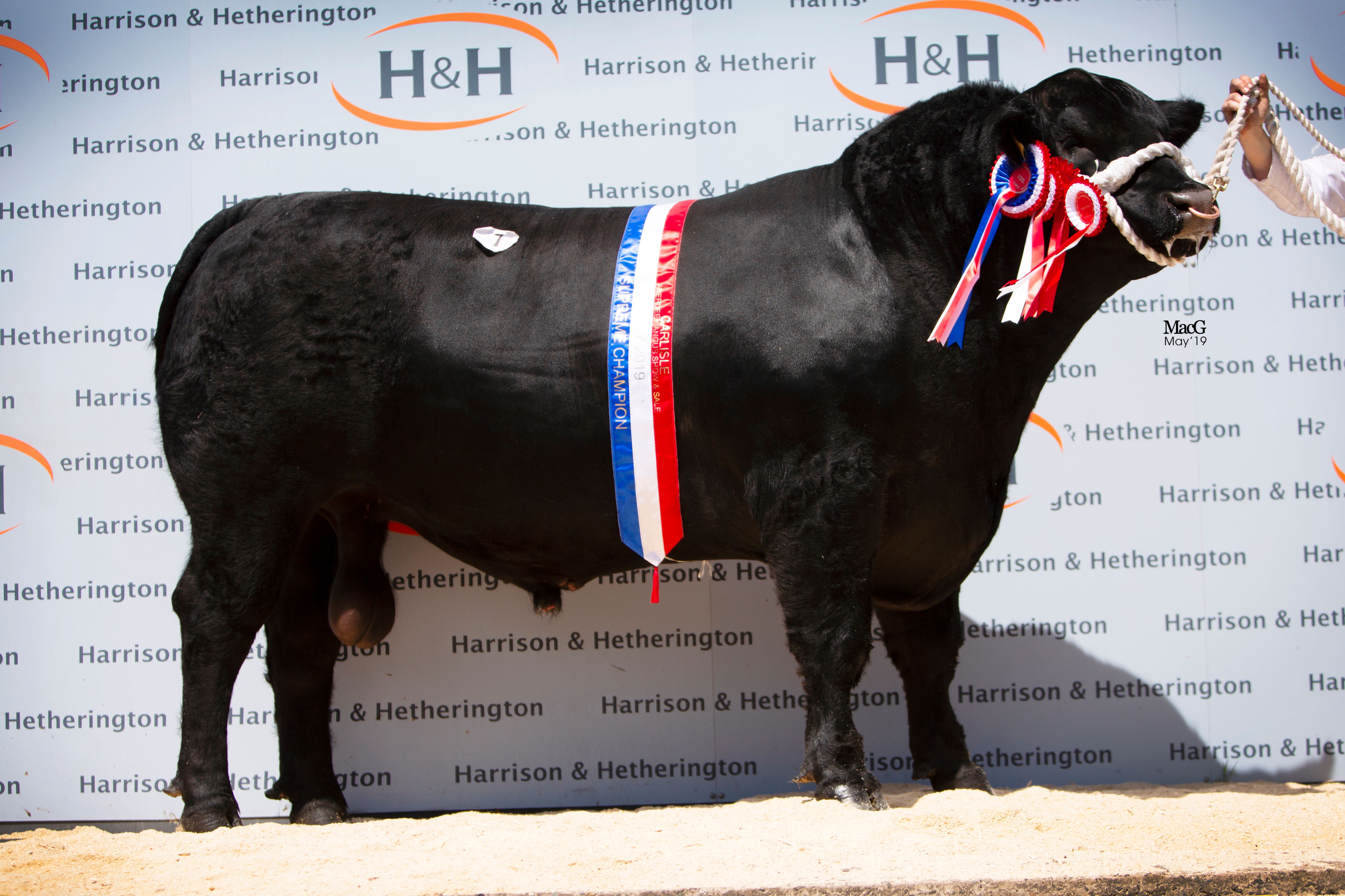 Harrison & Hetherington Spring Show & Sale 2021 Catalogue Aberdeen