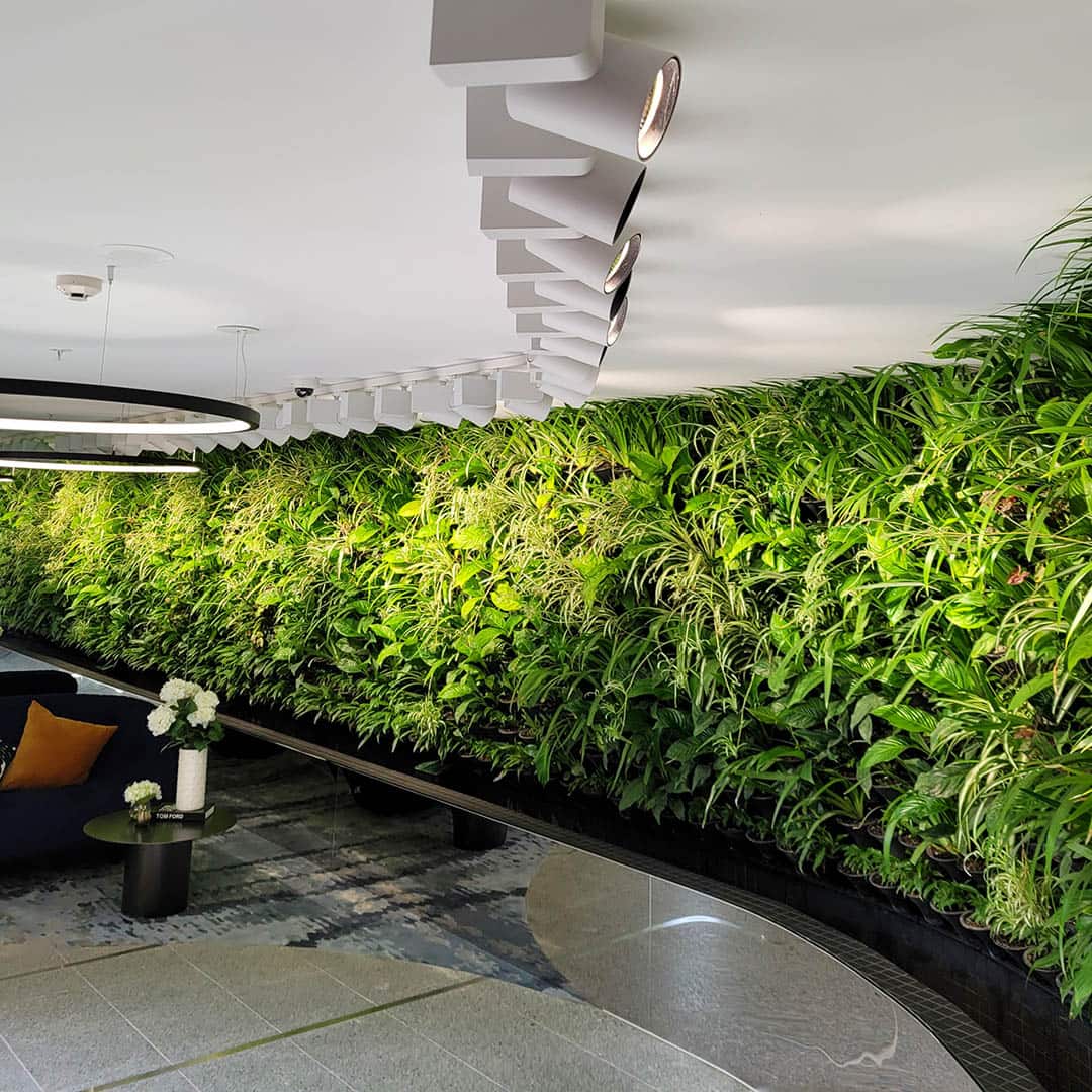 Green Wall Project Case Study Able Nursery