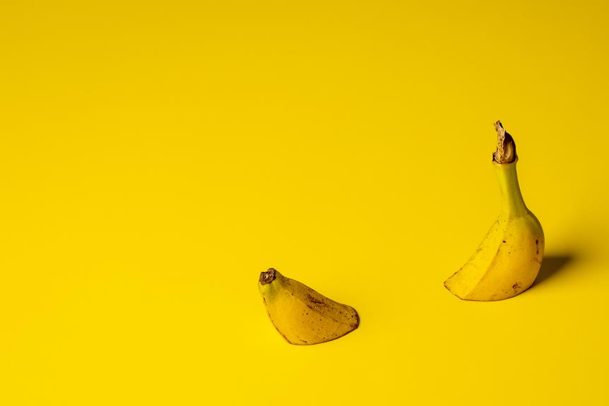 Is a Banana Peel Biodegradable Ablison