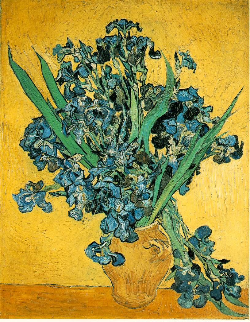 Irises, Vincent van Gogh