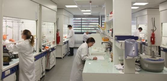 Custom Synthesis Synthetic Organic Chemistry Services AbMole BioScience
