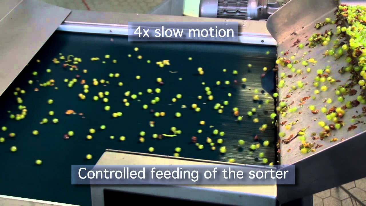 Optical Sorter Market to See Promising Growth Ahead TOMRA (Norway
