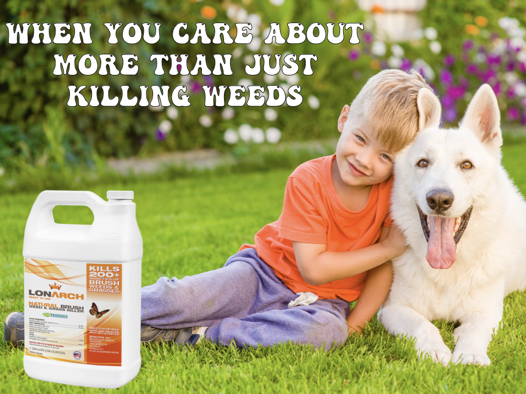 Monarchchem is utilizing Mr. Checkout's Fast Track Program to reach