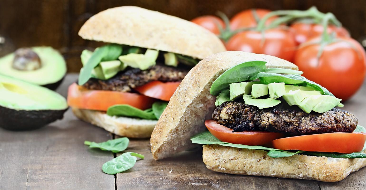 Meat Substitutes Market Segmentation, Industrial Overview, Growth Rate