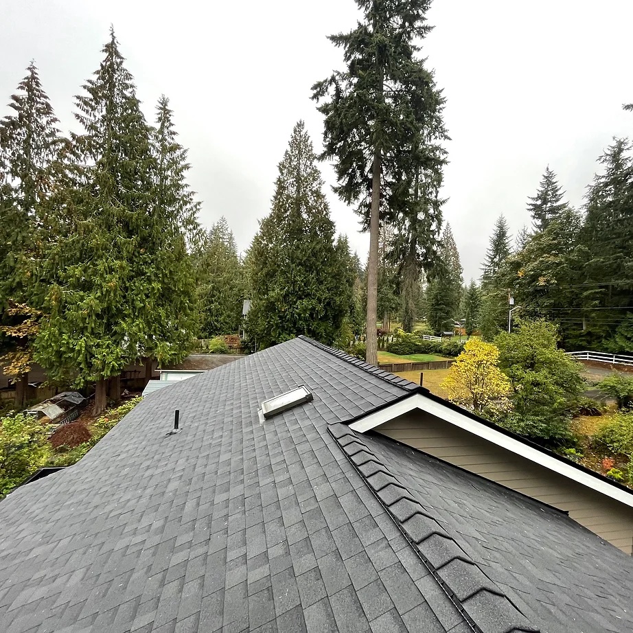 Meet Northern Seattle’s Trusted Roofing and Siding Company Get News
