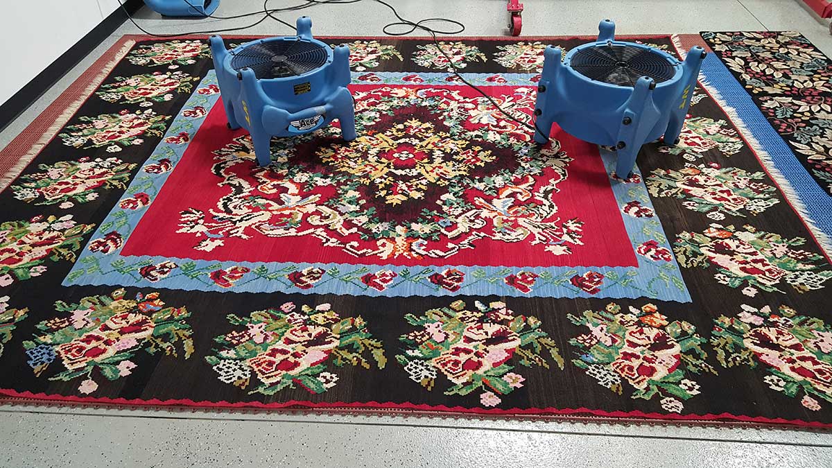 Elevate Space with the Best Rug Cleaning Near Me FinancialContent
