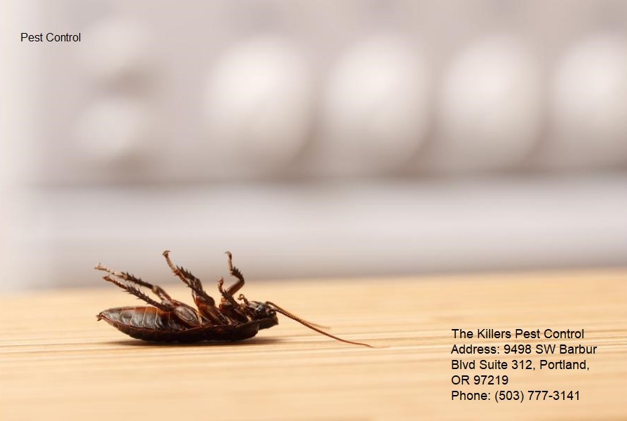 The Killers Pest Control Marking 42 Years of Service Excellence in