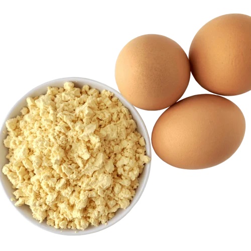 Whole Egg Powder Manufacturing Plant Project Report 2024, Manufacturing