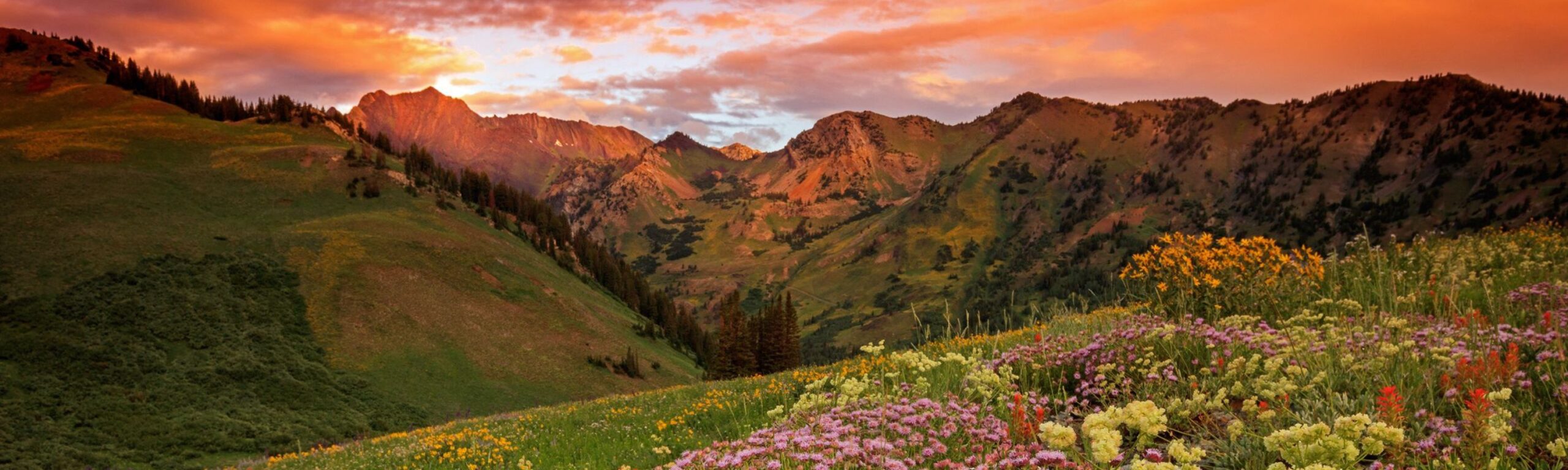 Quality Deer Valley Vacation Rentals & Cabins Abode Park City