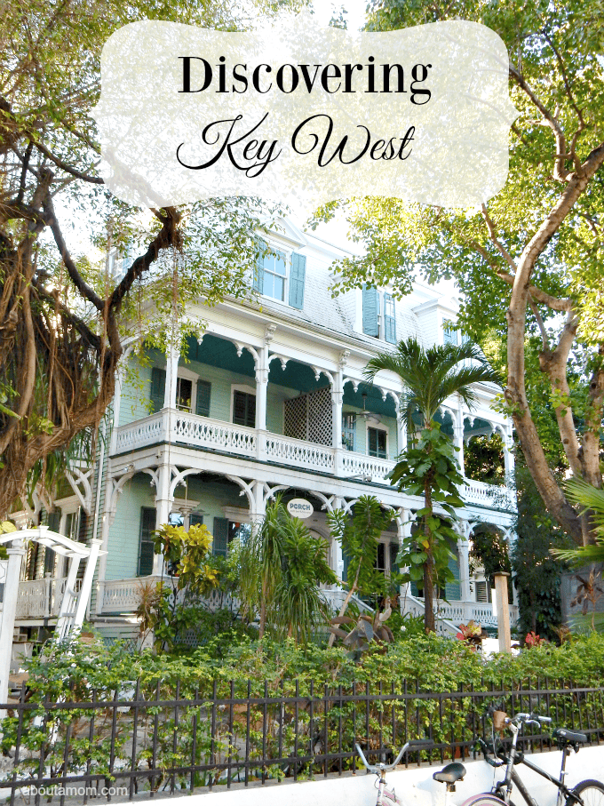 Discovering Key West About a Mom