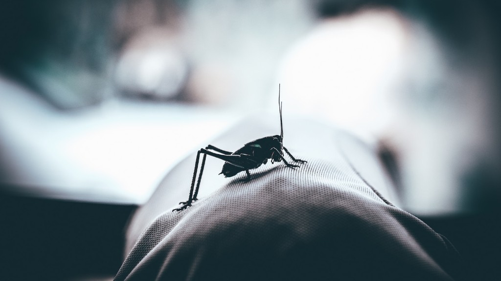 Why does my yard have so many About Bugs