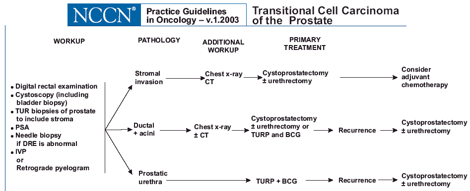 Prostate Cancer Basic Information