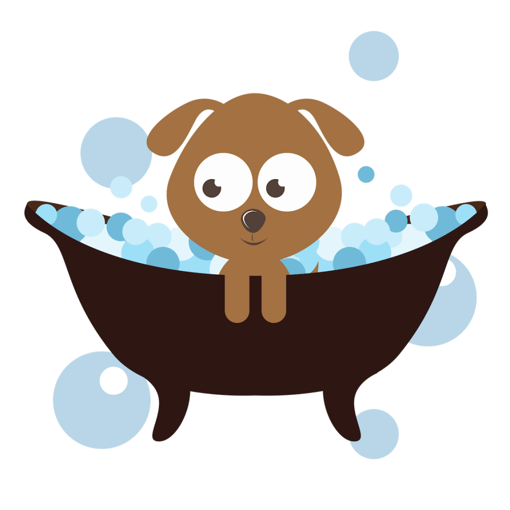 Best Dog Shampoo for your Morkie ABOUT MORKIES