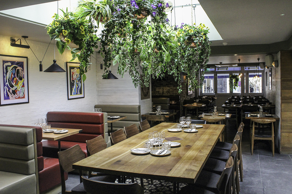 Tonica Restaurant Review Cass For Questions