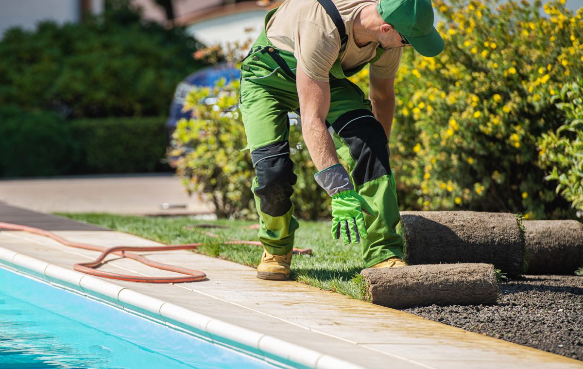 How To Level Ground For Pool Without Digging Above All Pool Care