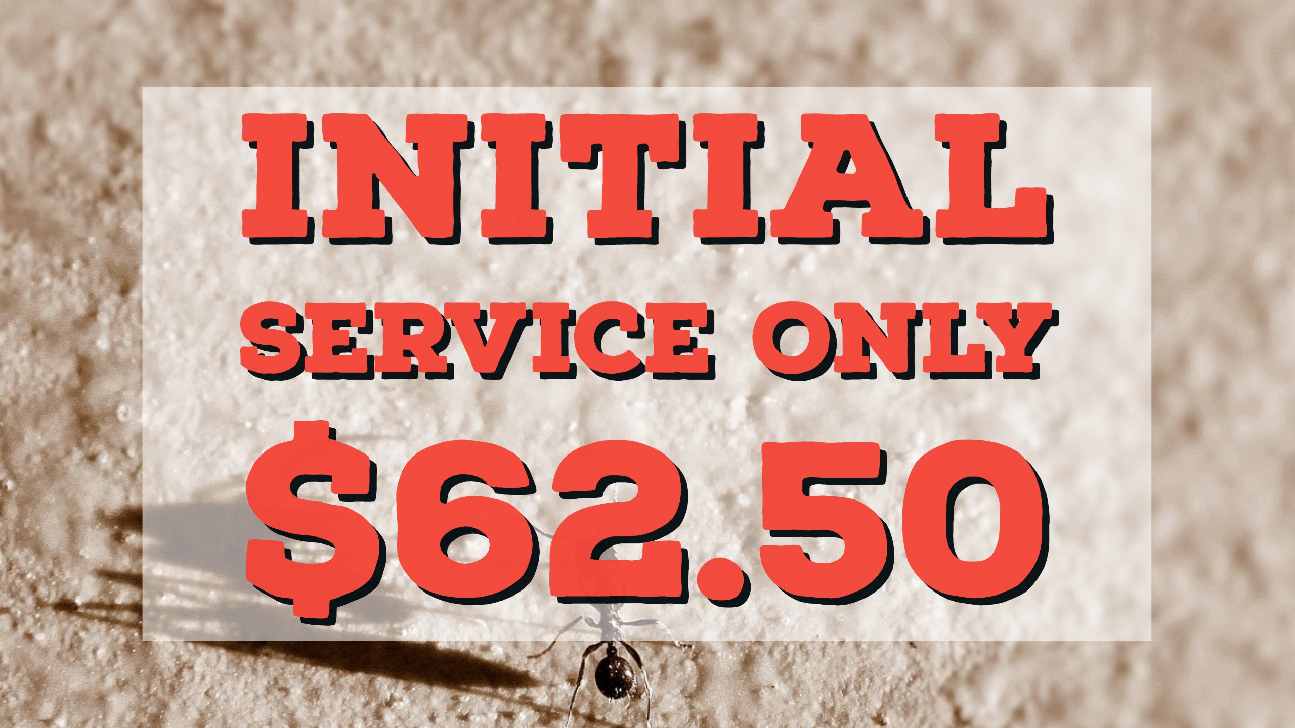 Pest Control Albuquerque Exterminator Albuquerque NM