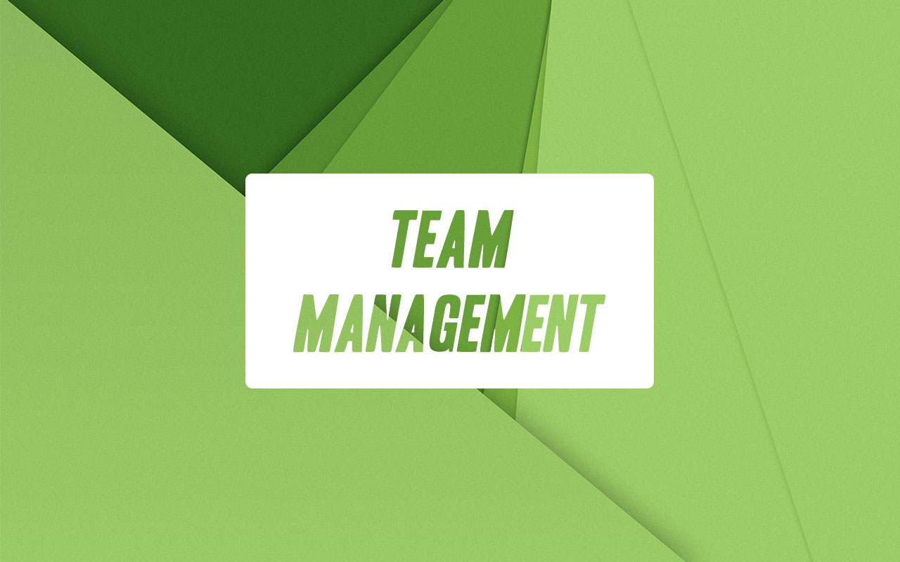 Leadership skills for Software Architects