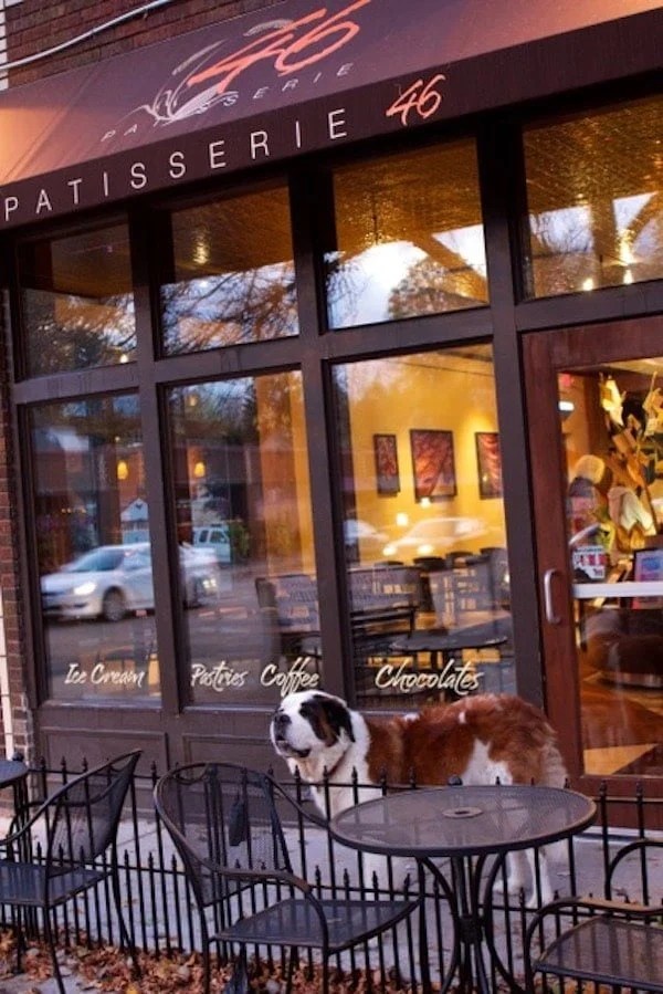 BEST Minneapolis Bakeries TOP 5 • Abroad with Ash