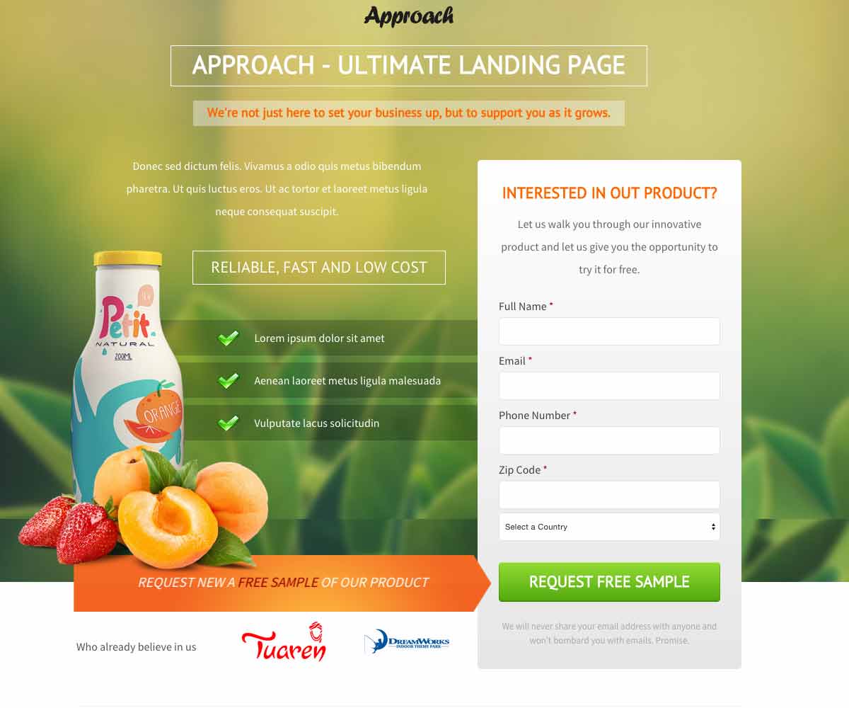 Examples of Landing Pages Built for Lead Generation