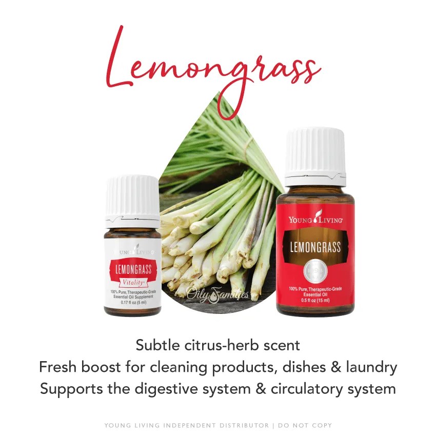 Lemongrass Essential Oil • Abundance in Simplicity