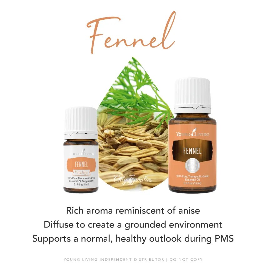 Fennel Essential Oil • Abundance in Simplicity