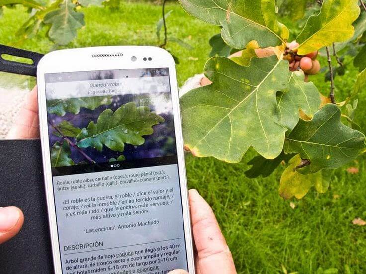 The ‘Shazam’ For Plants Will Identify Any Plant From A