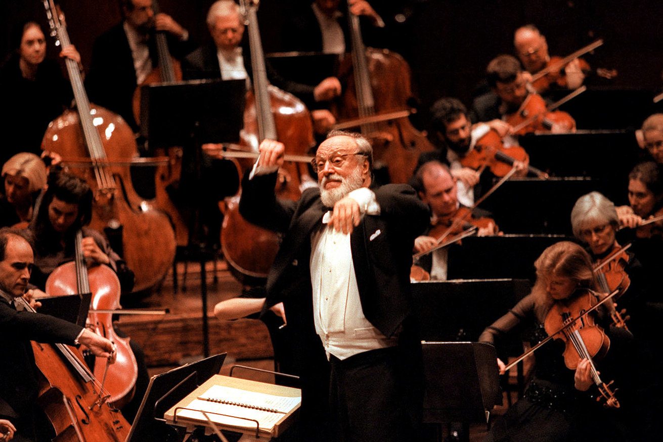 What Is an Orchestra Member Called? A Guide to the Different Positions