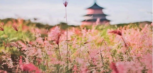 Ini 5 Pilihan Tempat Wisata Terbaru Dan Unik Di Surabaya