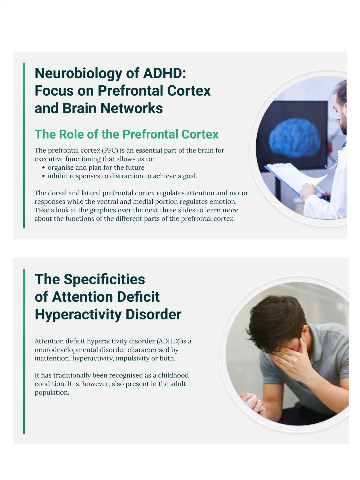 Clinical Excellence in Adult ADHD A Comprehensive Curriculum
