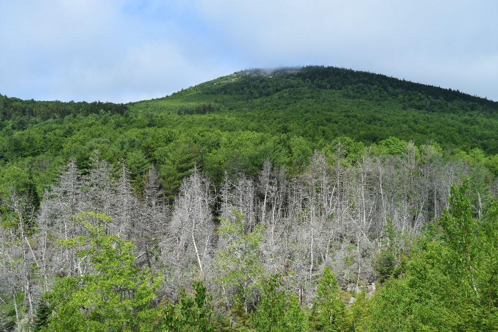 Discover an unspoiled haven at Great Pond Mountain preserve Visit