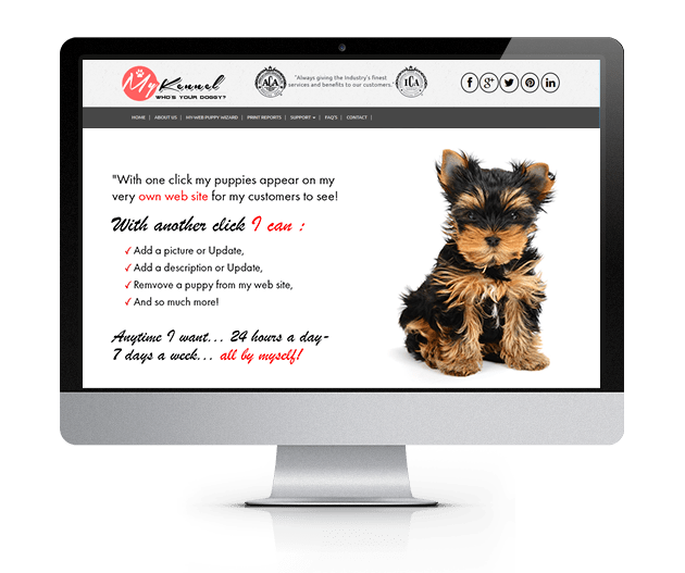 ACA Dogs Home Page