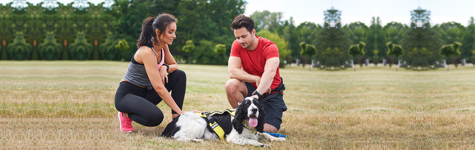 ACA Dog The American Canine Association ACA Home Page