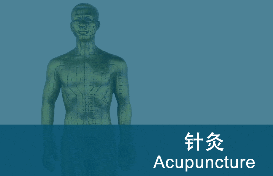 Acupuncture Diploma Tuition and Fees Best Acupuncture & TCM School