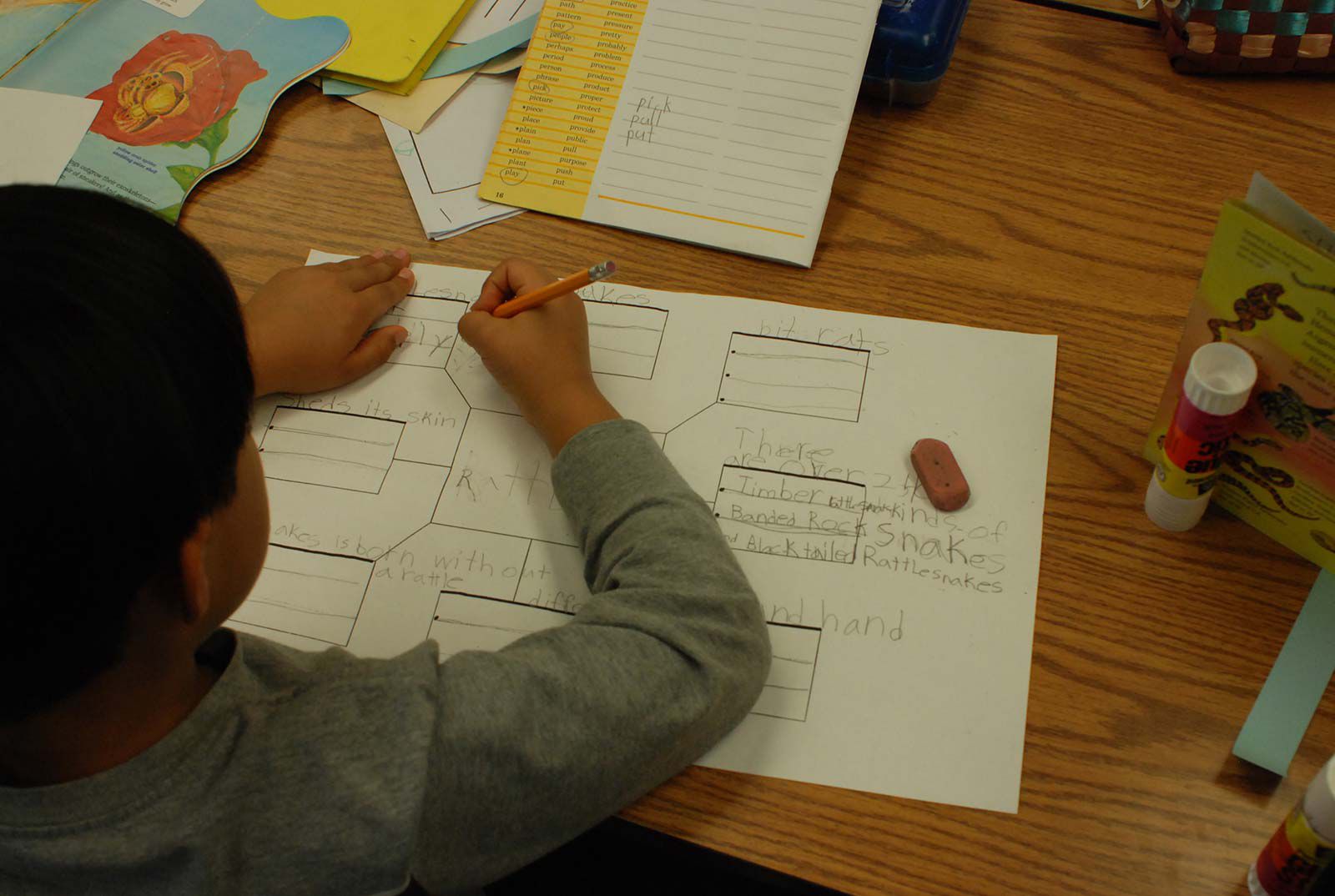 Dilley Institute: Video Accelerated Literacy Learning News