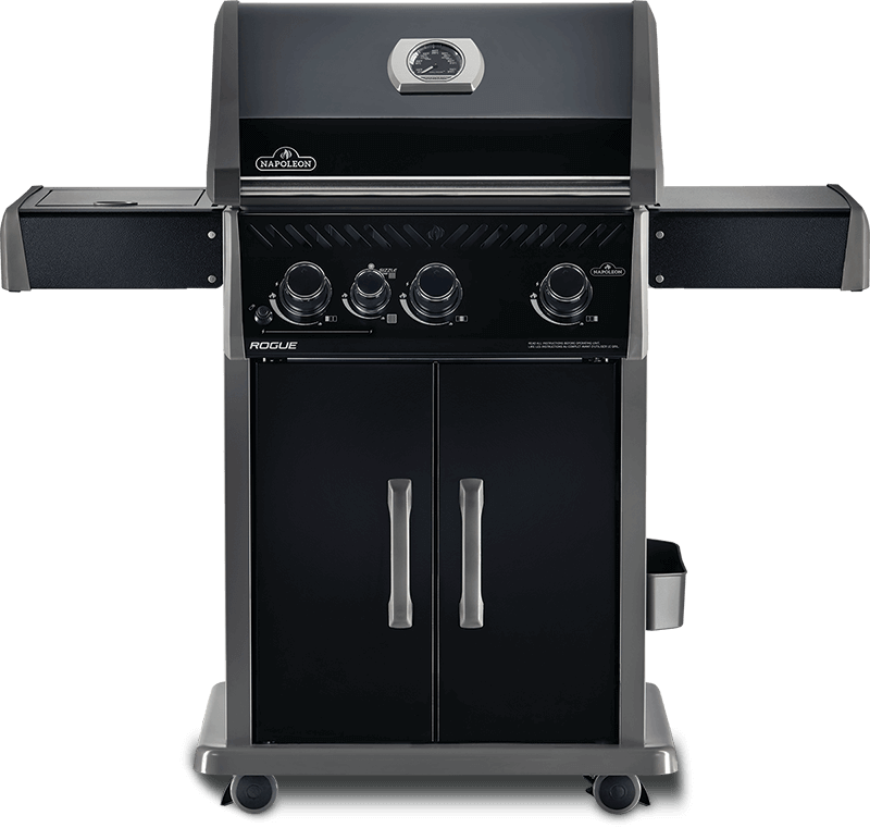 Napoleon Gas Grills Accent Fireplace Gallery