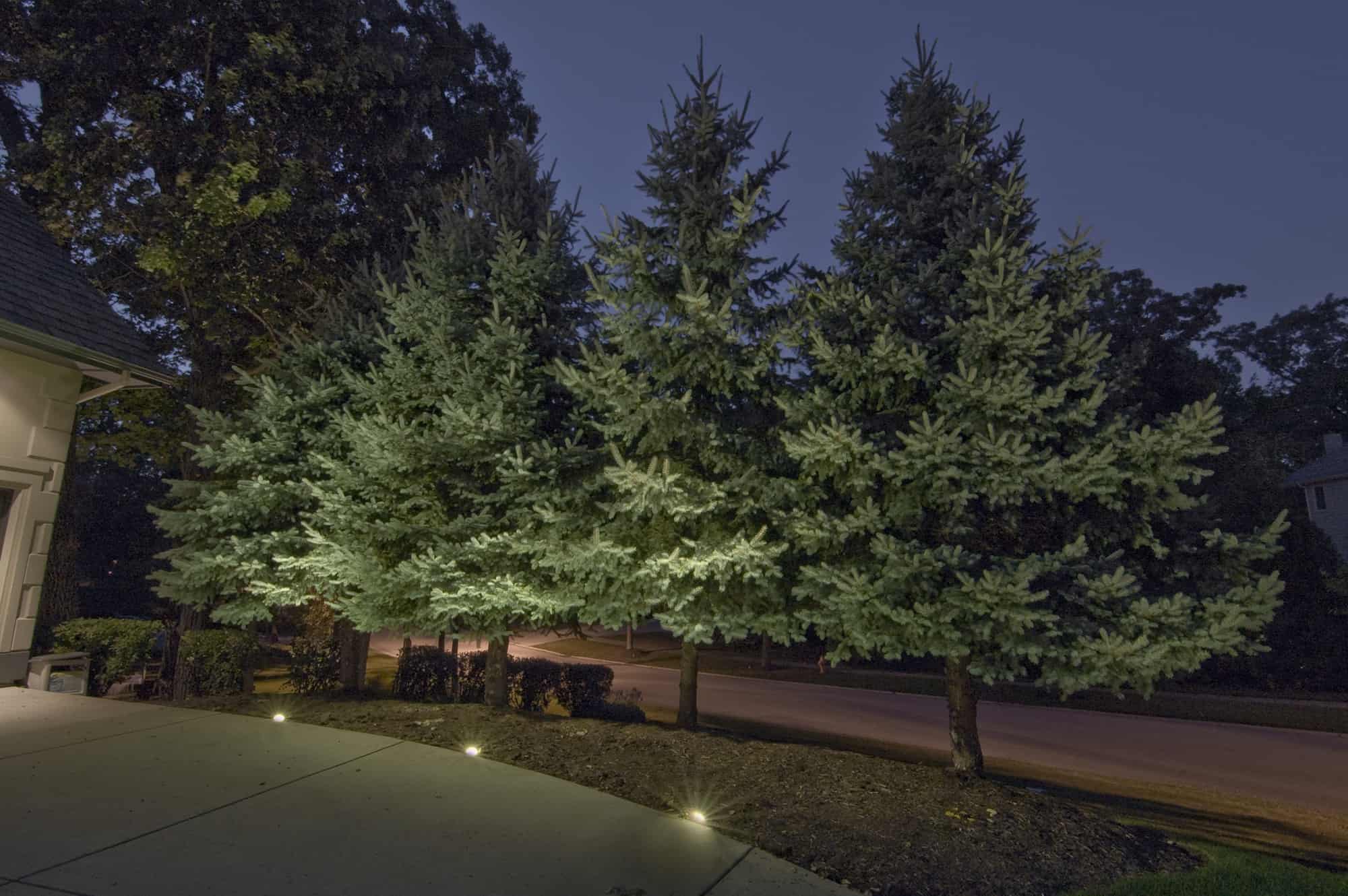 Tree Lighting Outdoor Lighting in Chicago, IL Outdoor Accents