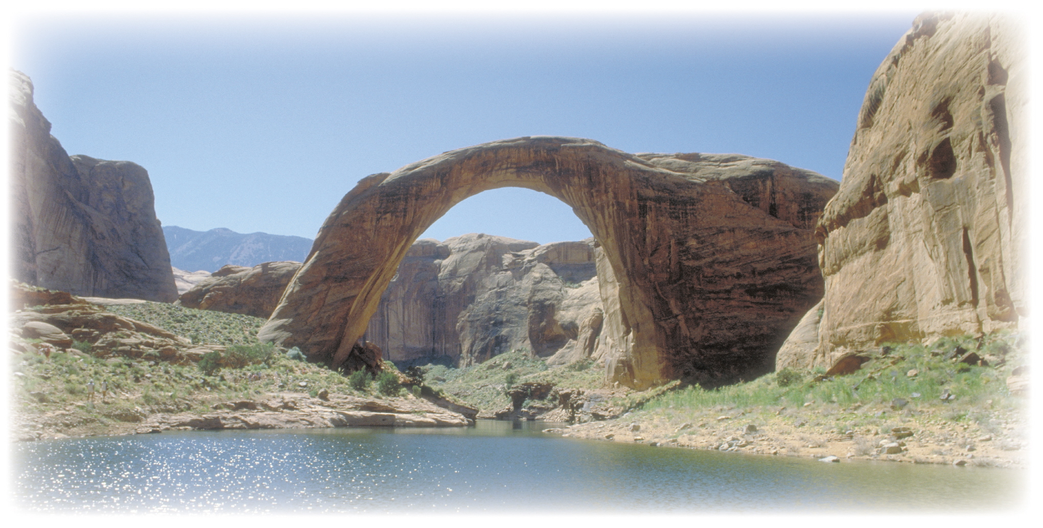 Full Color Vinyl Murals