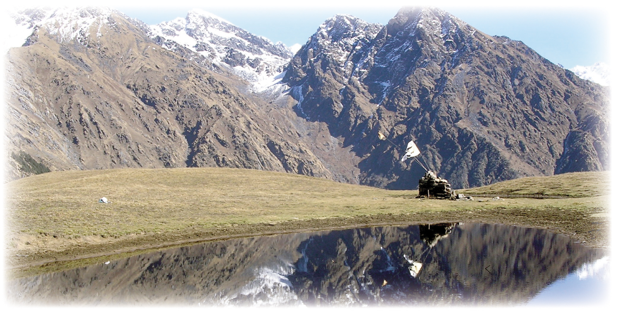 Full Color Vinyl Murals