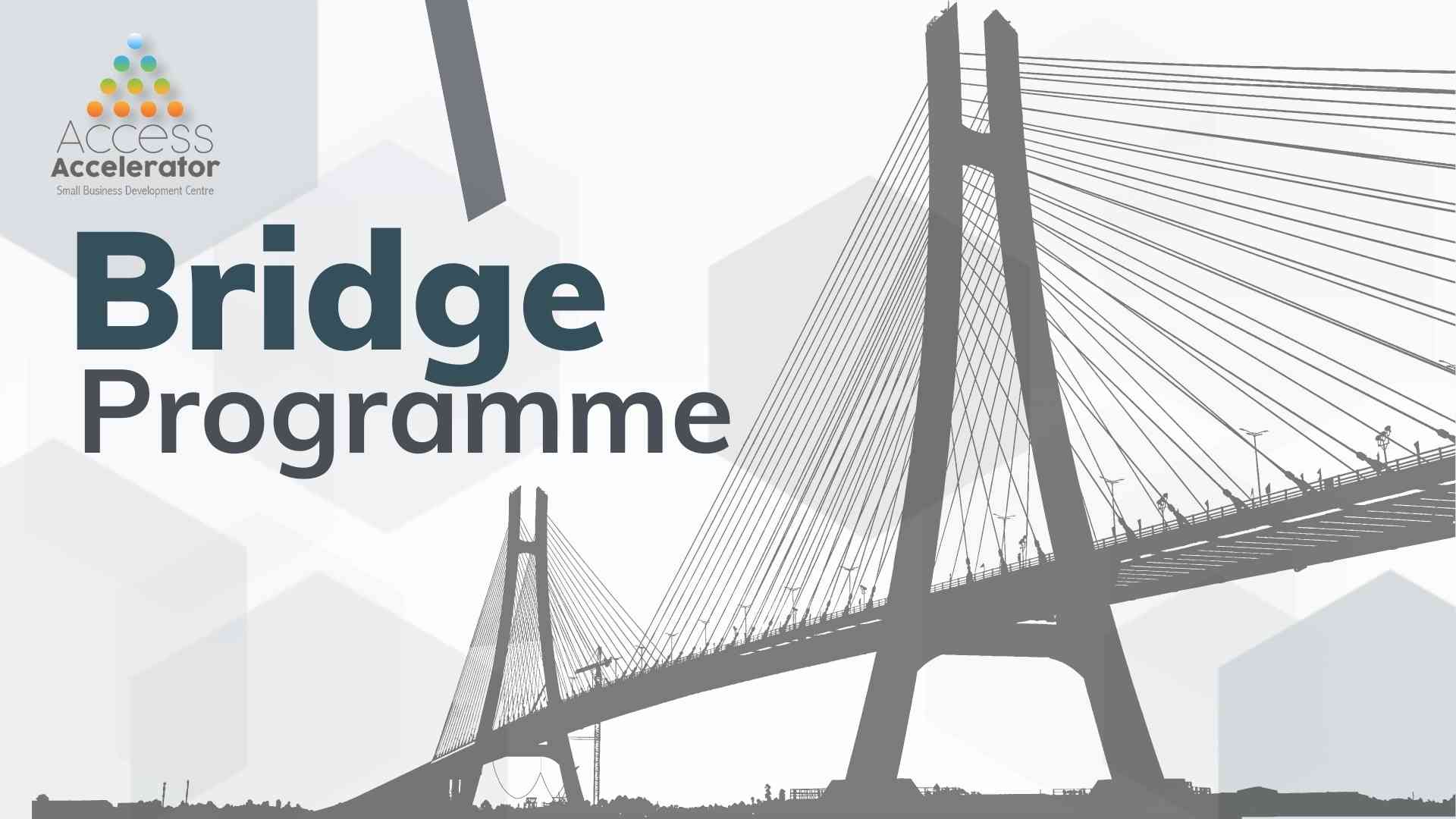 Bridge Programme Access Accelerator SBDC Bahamas