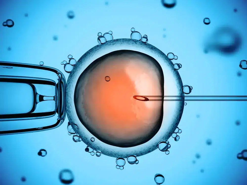 Artificial Insemination vs IVF what, why and how? Access Fertility UK