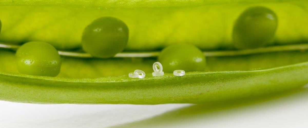 Microoptics Access Optics