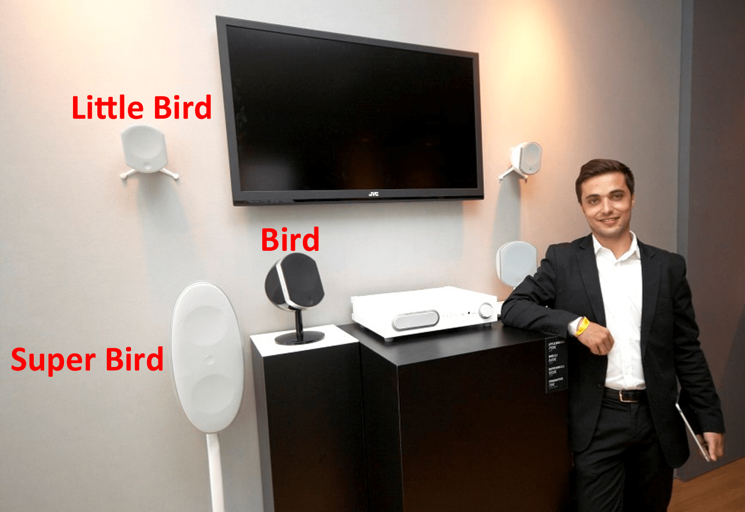 FOCAL Bird 5.5" 2Way Compact Satellite Speaker Black Each NEW