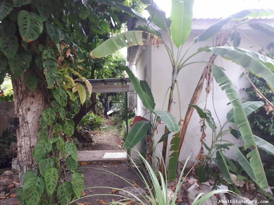 Crescent Kingston Jamaica Access Property Investments Ltd.