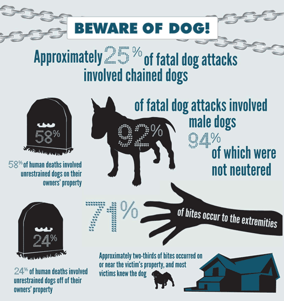Dog Bite Compensation and Personal Injury Claim Awards