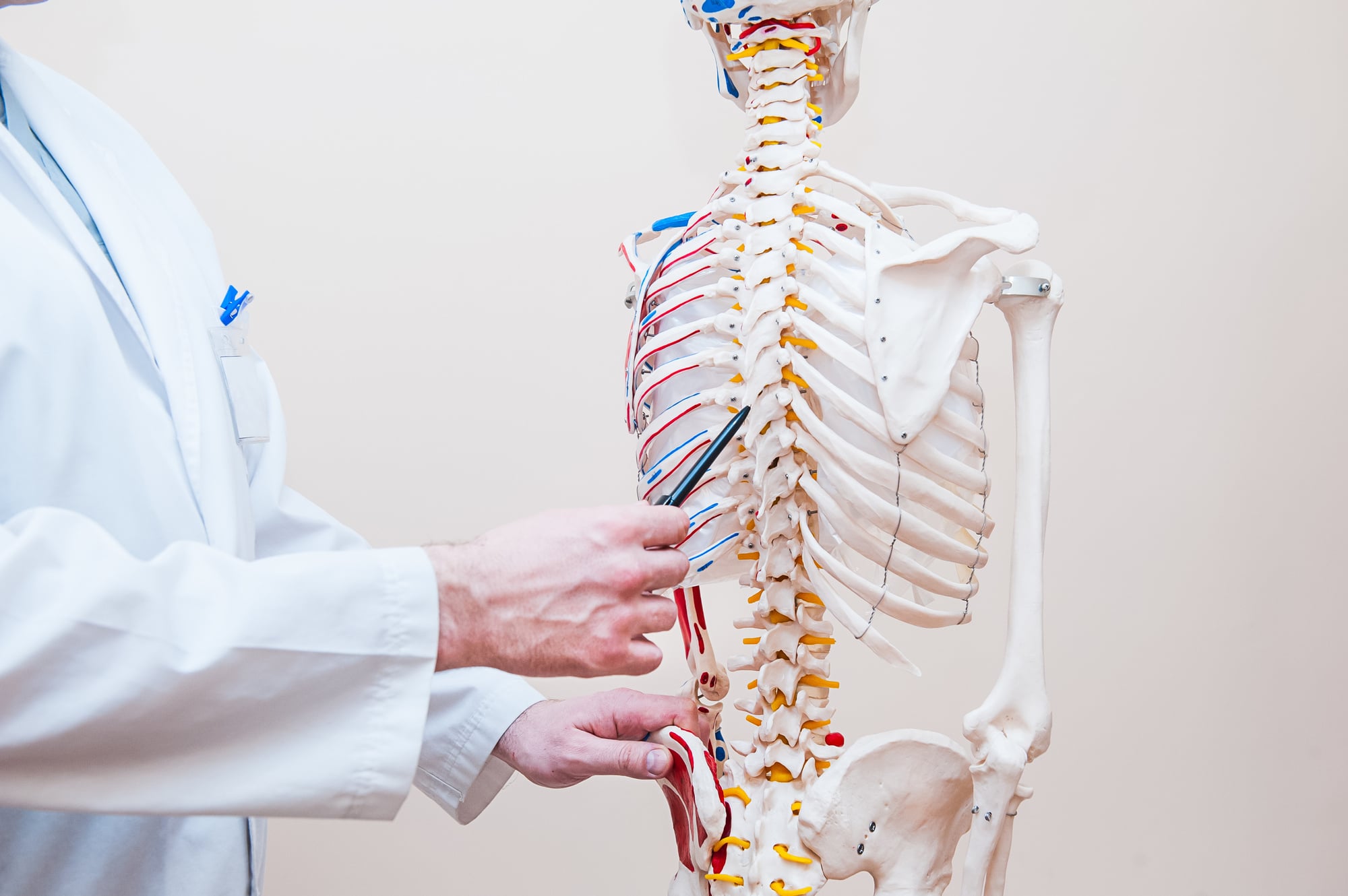 What Is a Spinal Adjustment? What to Expect from Your Chiropractor