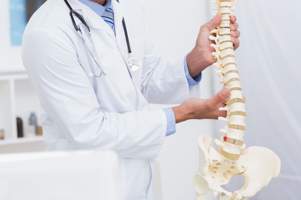 What Orthopedic Doctors Do Everything You Need to Know