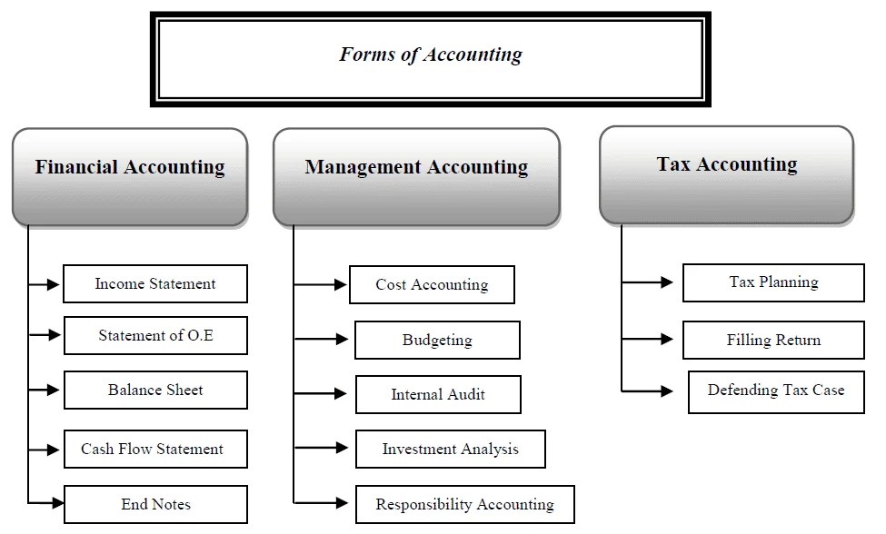 Types of Accounting Financial Accounting Management Accounting