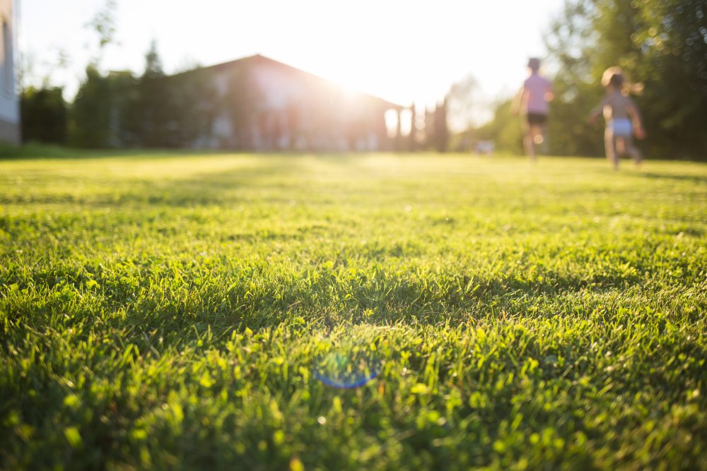 How Much Does Lawn Leveling Cost? Accurate Lawn Leveling