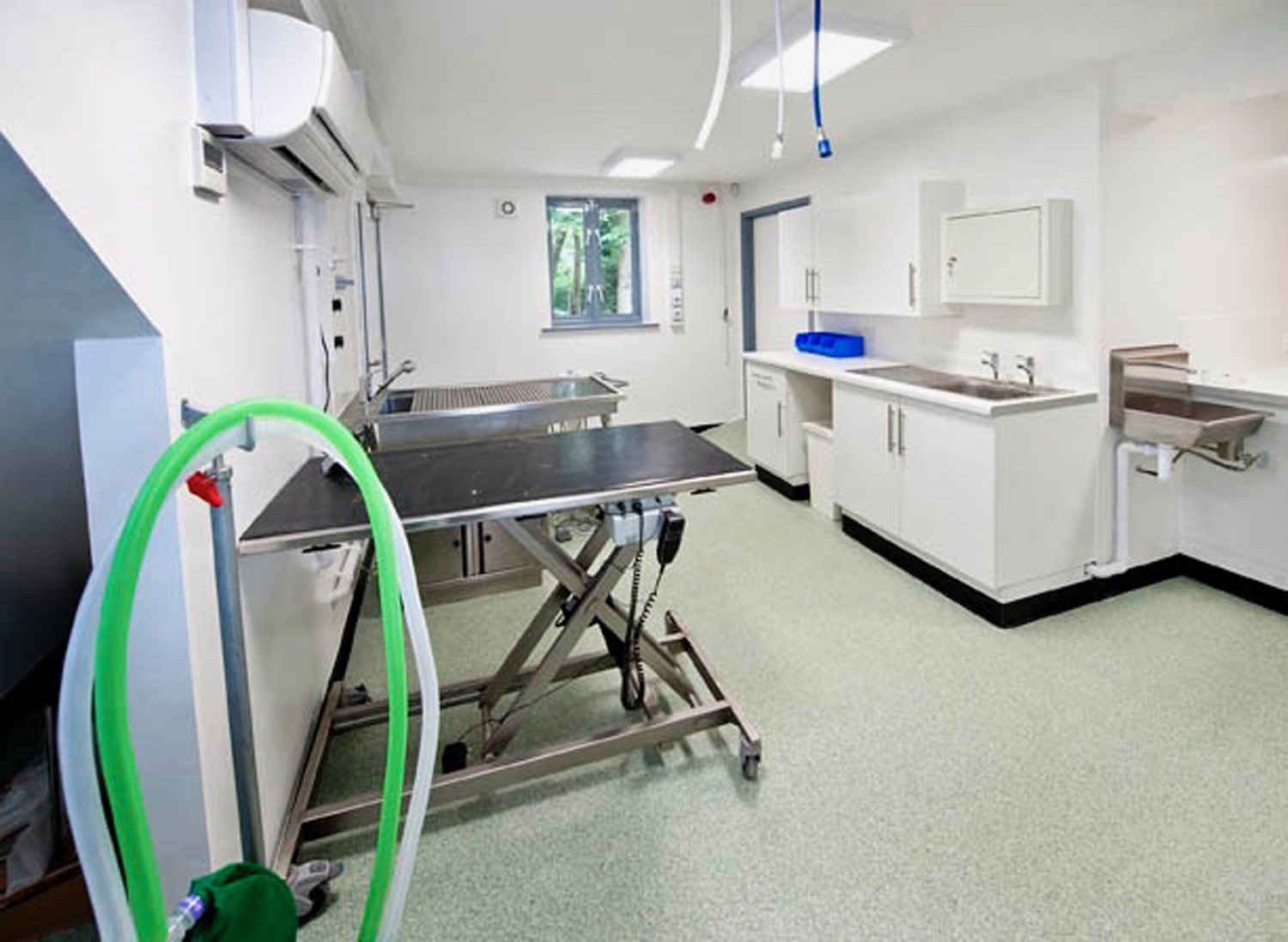 Ash Tree Veterinary Centre ACD Projects